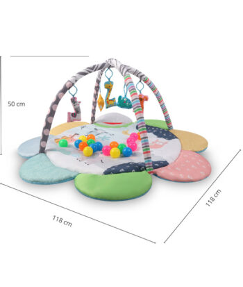 Βρεφικό Γυμναστήριο 45